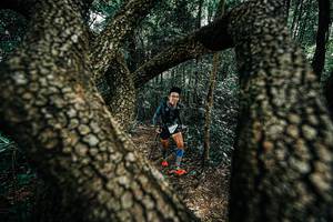 BIB: 
                            <button type="button" onclick="openModal(25392433)" class="btn btn-primary btn-sm float-right btn-popup" data-toggle="modal" data-target=".modal-high-quality">
                        <i class="fas fa-shopping-cart"></i> Add to Cart
                    </button>
                                            <button type="button" onclick="isThisMe(25392433, true)" class="btn btn-success btn-sm float-right btn-popup btn-isme hidden" data-toggle="tooltip" data-placement="bottom" title="นี่คือรูปของคุณใช่ไหม คลิกที่นี่เพื่อเอาเข้าอัลบั้ม">
                        <i class="fas fa-plus"></i> Add to album
                    </button>
                    <button type="button" onclick="isThisMe(25392433, false)" class="btn btn-warning btn-sm float-right btn-popup btn-isnotme hidden">
                        <i class="fas fa-ban"></i> Remove from album
                    </button>